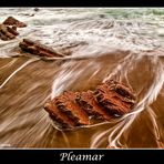 Pleamar - Dedicada a  Segura Carmona -