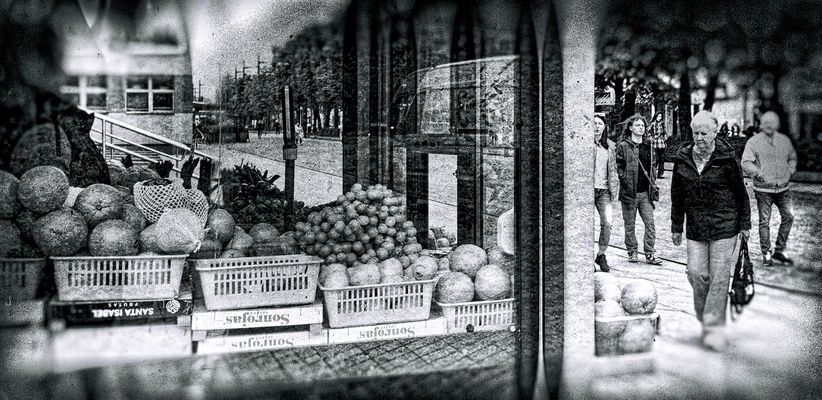 Please, Buy My Oranges...