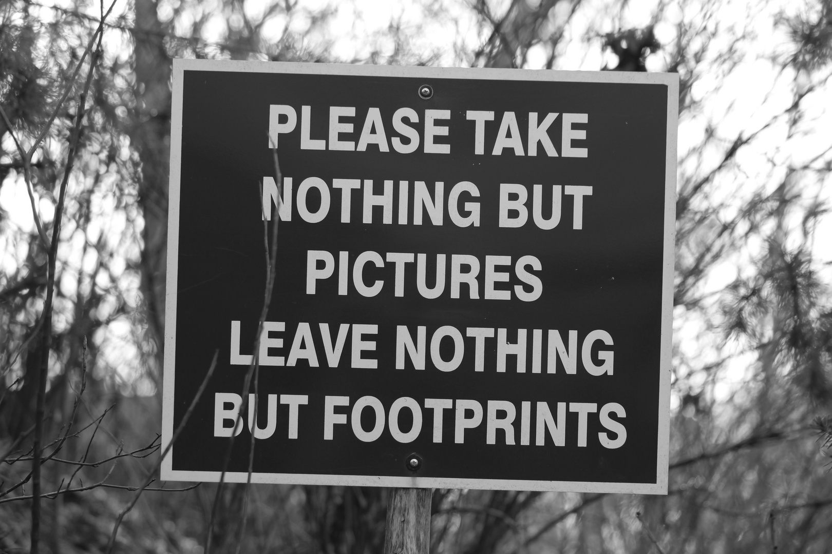 Please take nothing but pictures. Leave nothing but footprints.