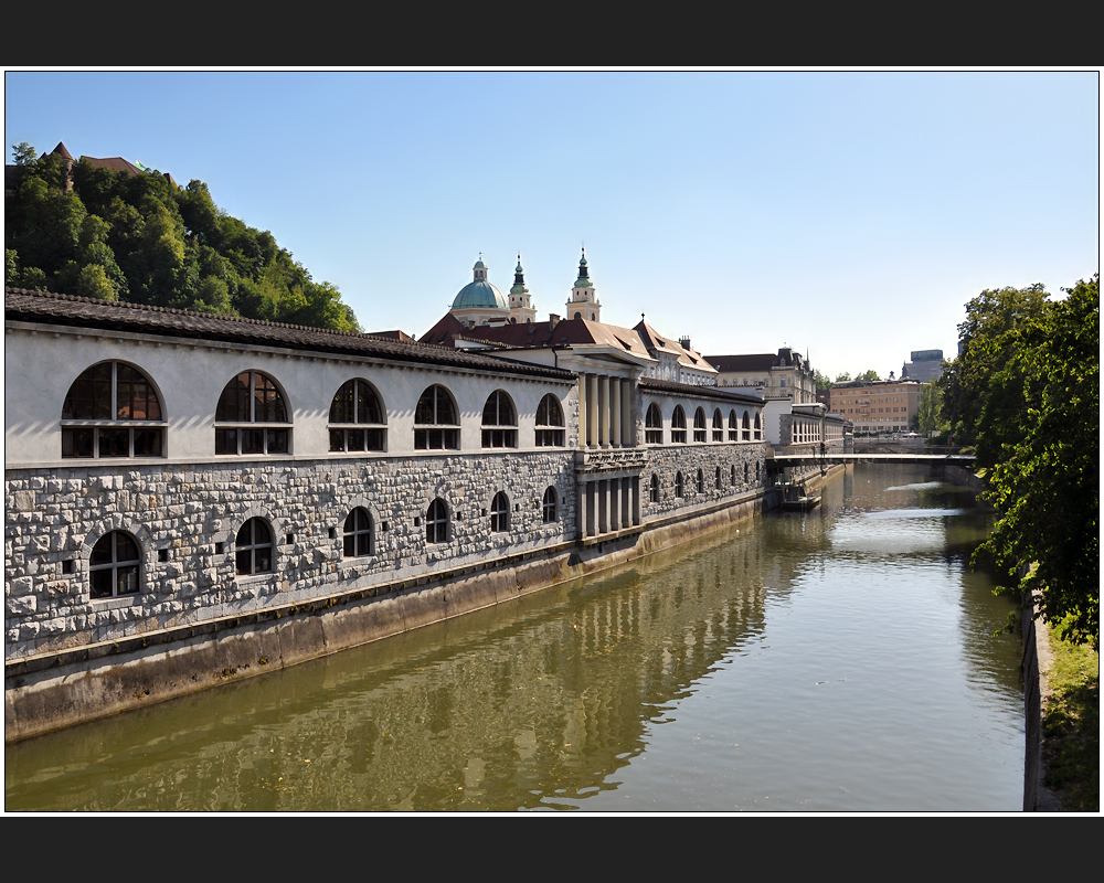 Plecniks Ljubljana