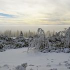 plein de givre - voller Reif