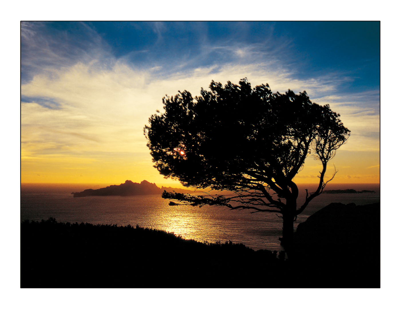 PLEIN FEU SUR LES CALANQUES