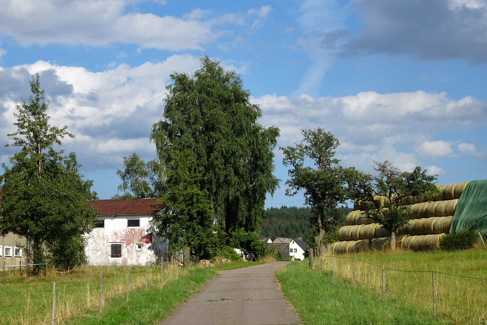 Plein in der Eifel