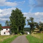 Plein in der Eifel