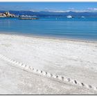 plein soleil.....sur antibes