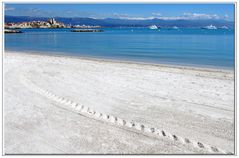 plein soleil.....sur antibes