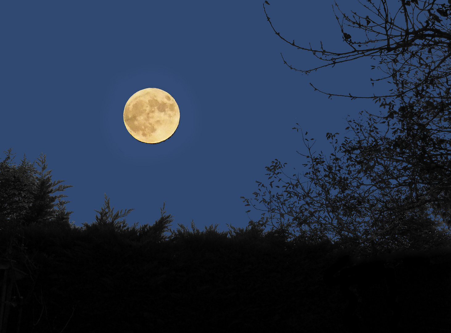 Pleine lune du 31 octobre