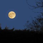 Pleine lune du 31 octobre
