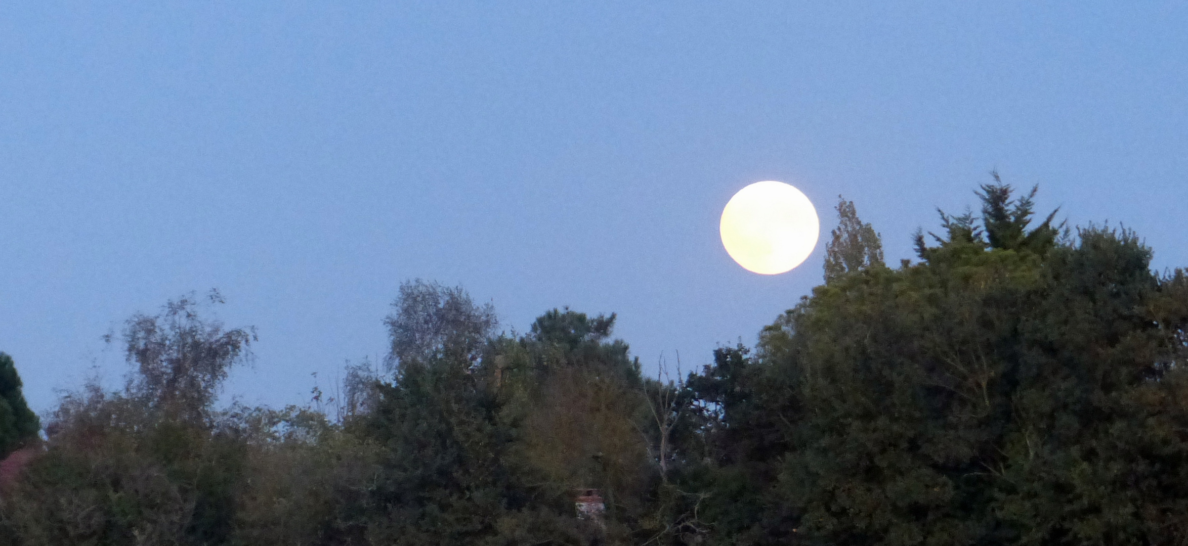 Pleine LUNE en plein jour... photo et image nature, lune, paysages