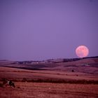 pleine lune en pleine campagne