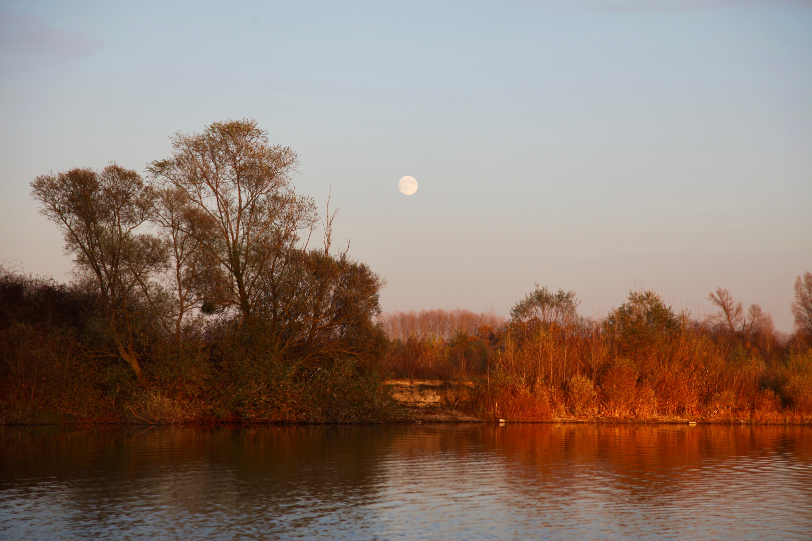 Pleine lune