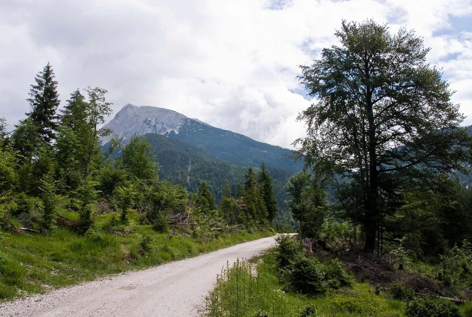 Pleisenspitze