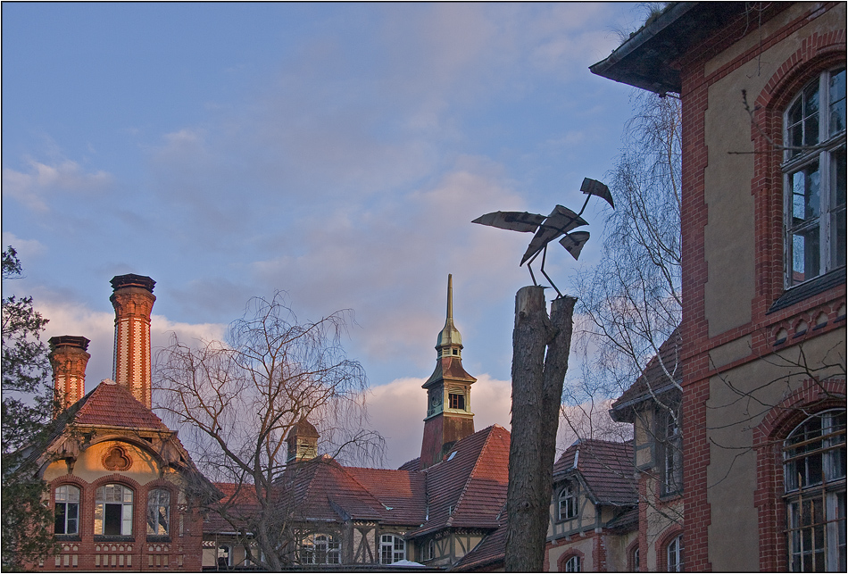 Pleitegeier über Beelitz