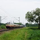 Pleiten, Pech und Pannen - oder die Ruhe vor dem Sturm