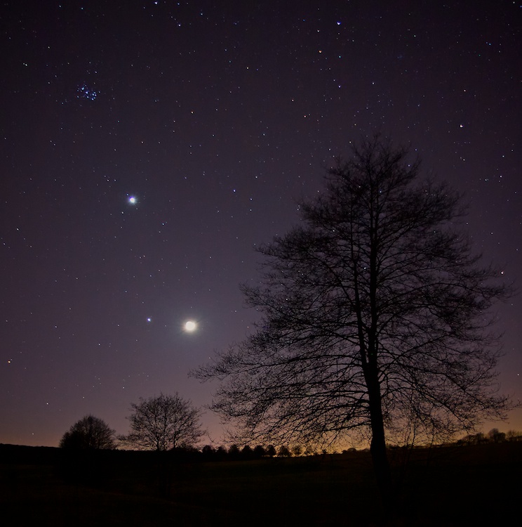 Plejaden, Venus, Jupiter, Mond, Sterne, Baum