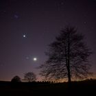 Plejaden, Venus, Jupiter, Mond, Sterne, Baum