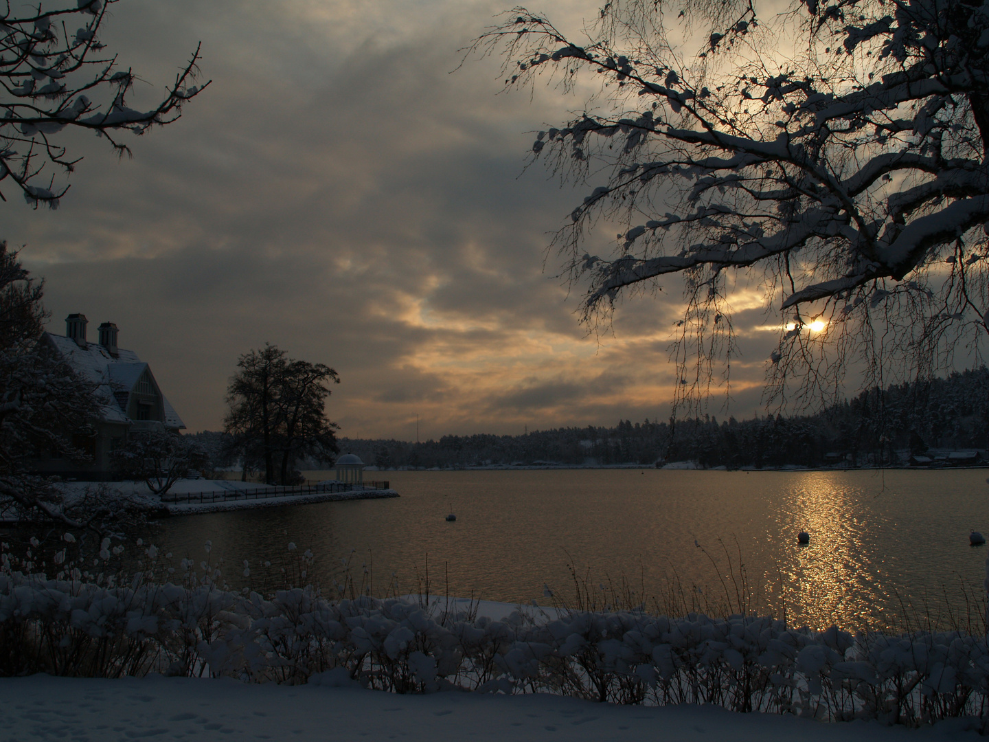 PLENO INVIERNO