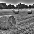 plenty bale of straw