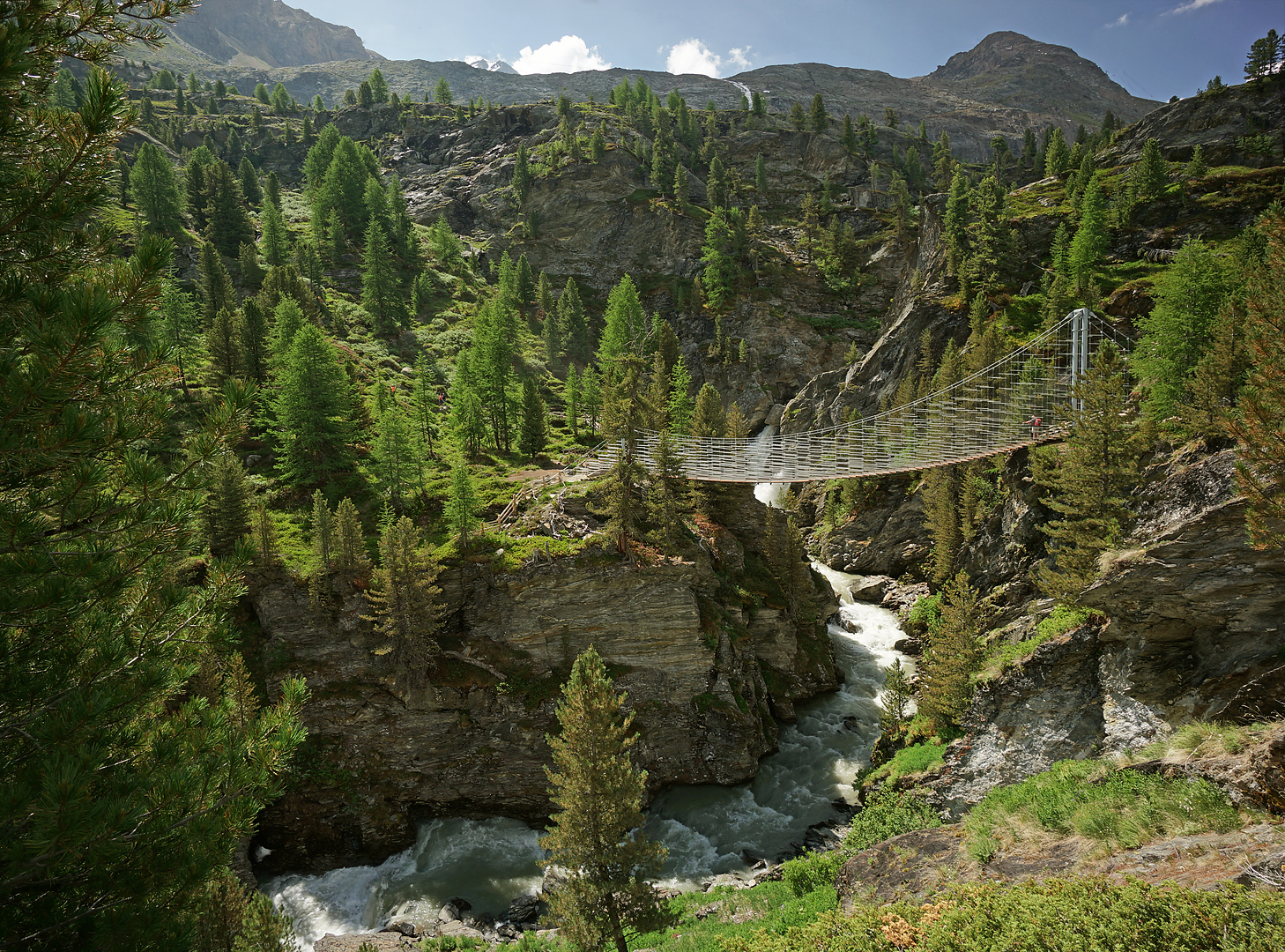 Plimaschlucht Hängebrücke