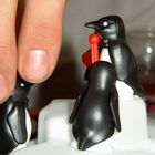 Plitsch Platsch Pinguin