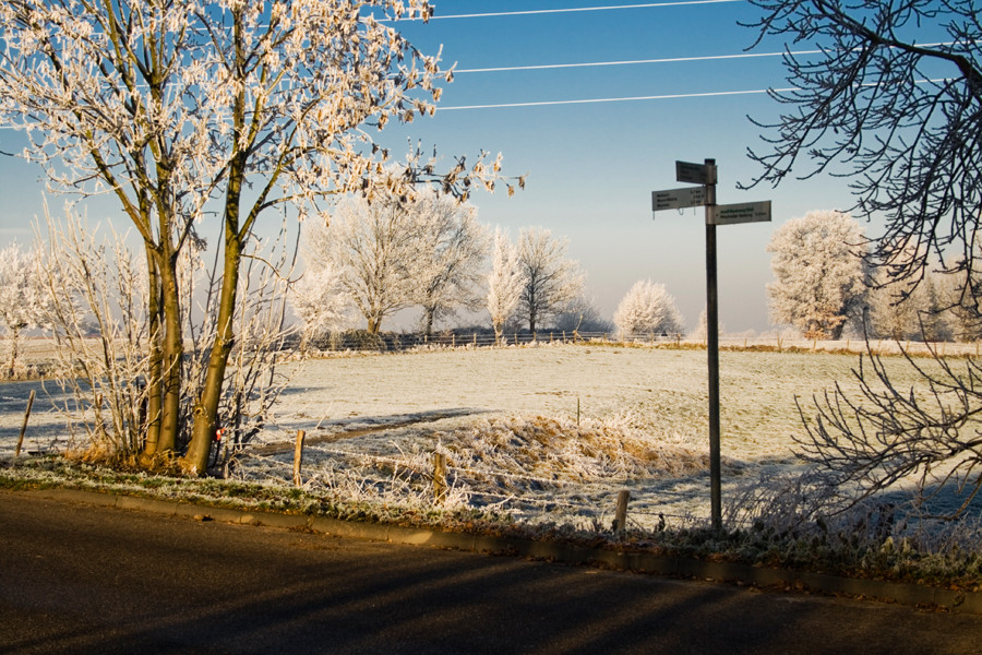 Plitschard Winter Wonderland