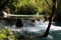 Plitvice #1