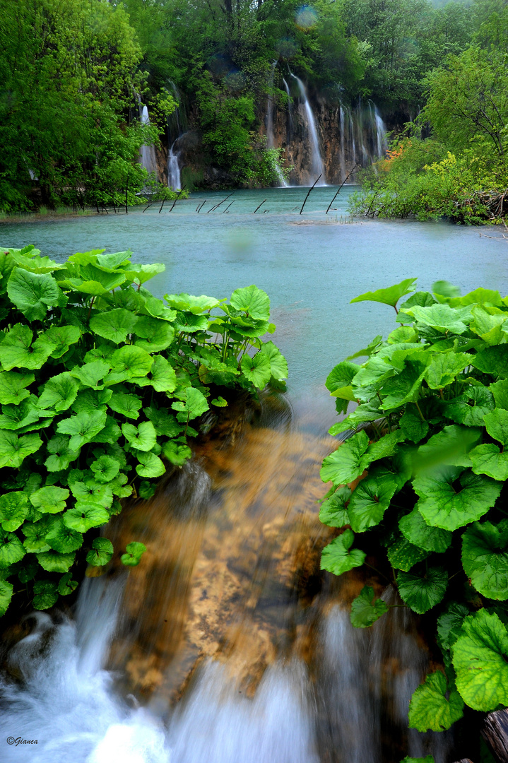 Plitvice - Croazia