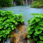 Plitvice - Croazia