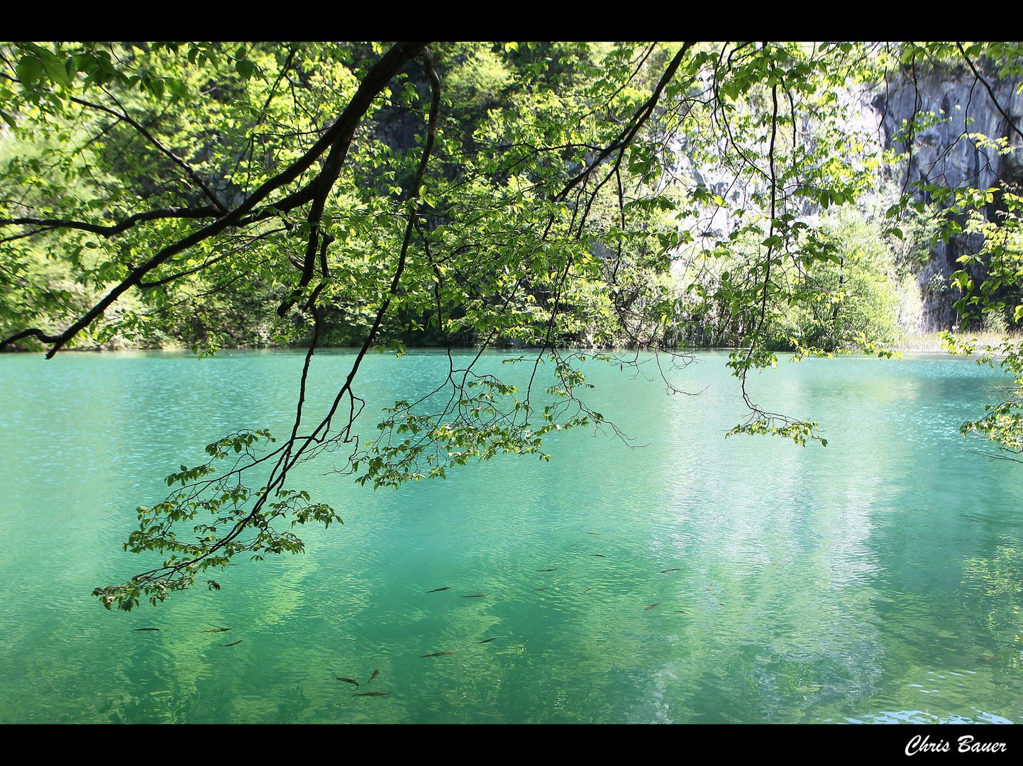 Plitvice im Mai