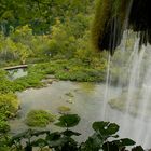 Plitvice IV