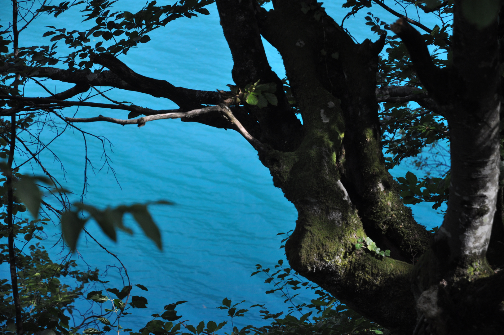 plitvice lakes