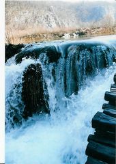 Plitvice lakes - Springs brings water..nature awake