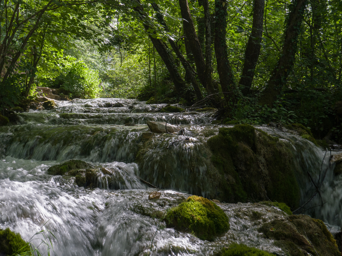 Plitvicer National Park