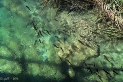 Plitvicer Seen - 