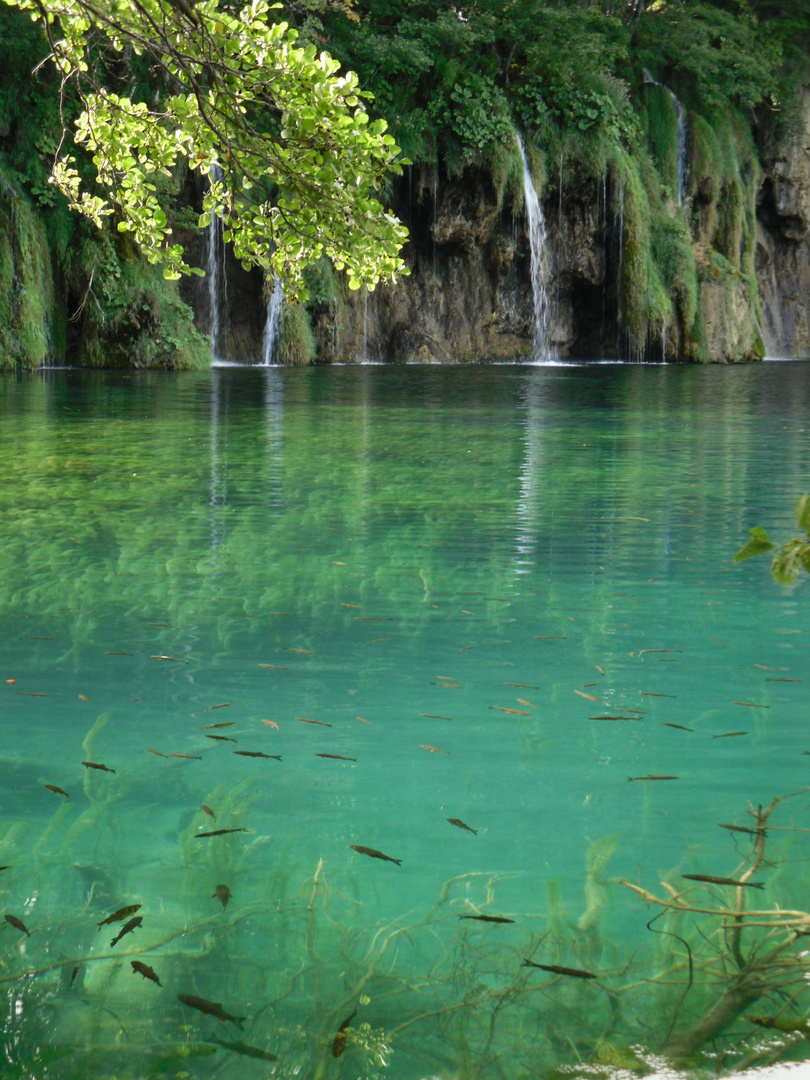 Plitvicer Seen - Kroatien