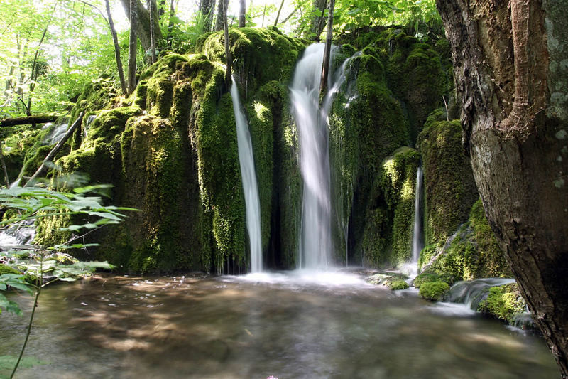 Plitvicer Seen - Nationalpark: # 3