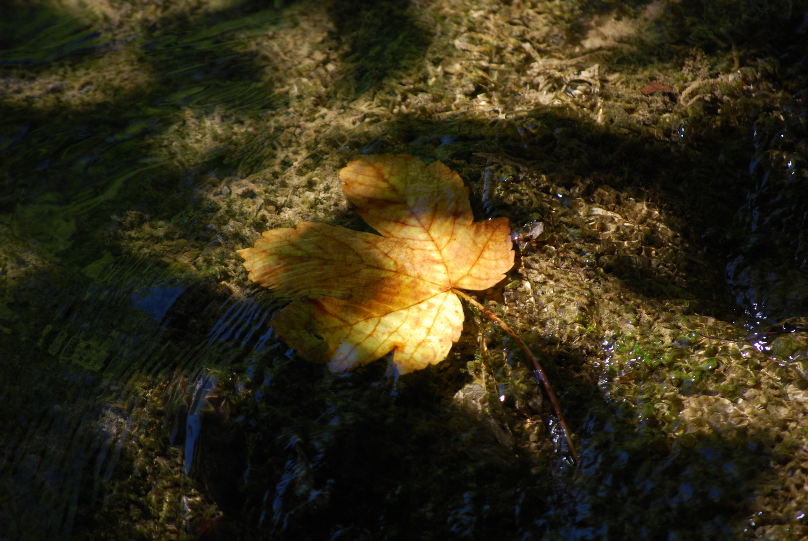 Plitvicer Wasserfälle 2