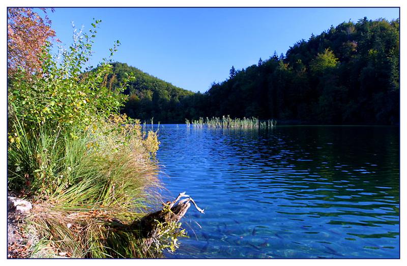 Plitwitzer Seen im Herbst