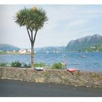 Plockton & Loch Carron - Highlands - Scotland