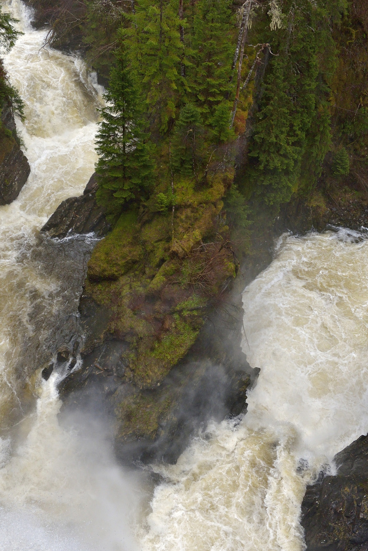 Plodda Falls