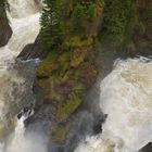 Plodda Falls