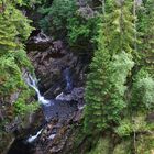 Plodda Falls