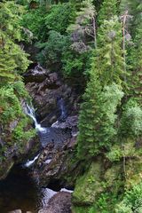 Plodda Falls