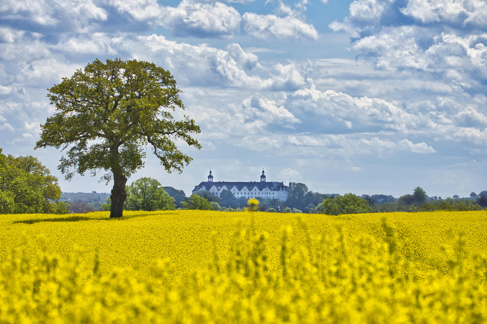 Plöner Schloss