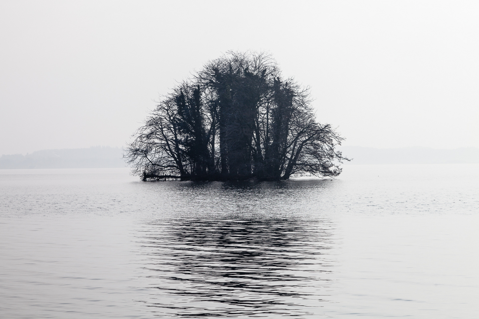 Plöner See am Morgen