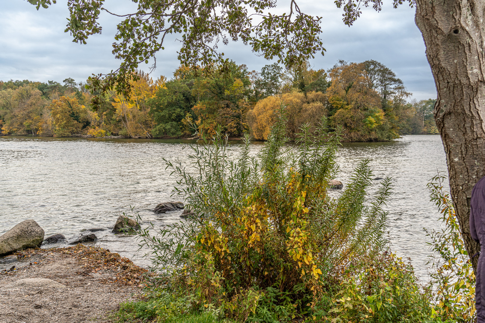 Plöner See Prinzeninsel I - Holsteinische Schweiz