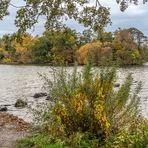 Plöner See Prinzeninsel I - Holsteinische Schweiz