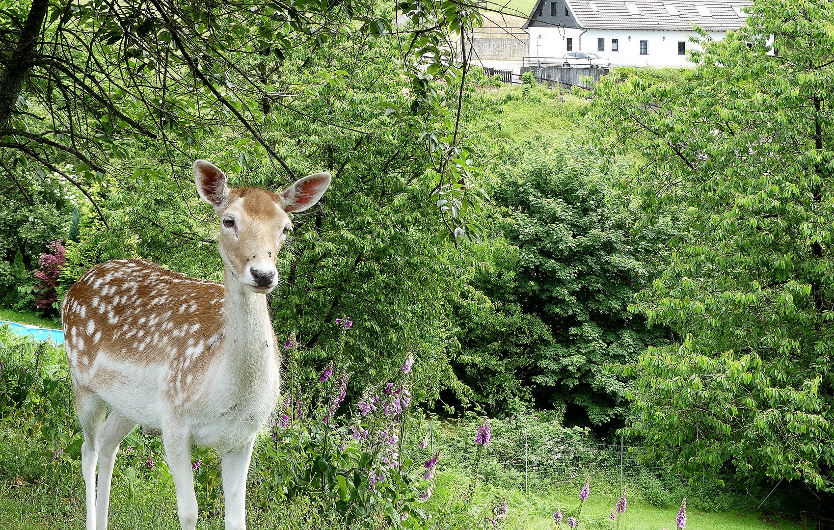 Plötzlich, hatte ich