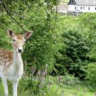 Plötzlich, hatte ich