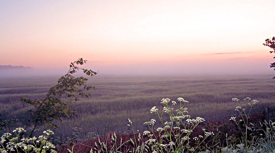 plötzlich nebel